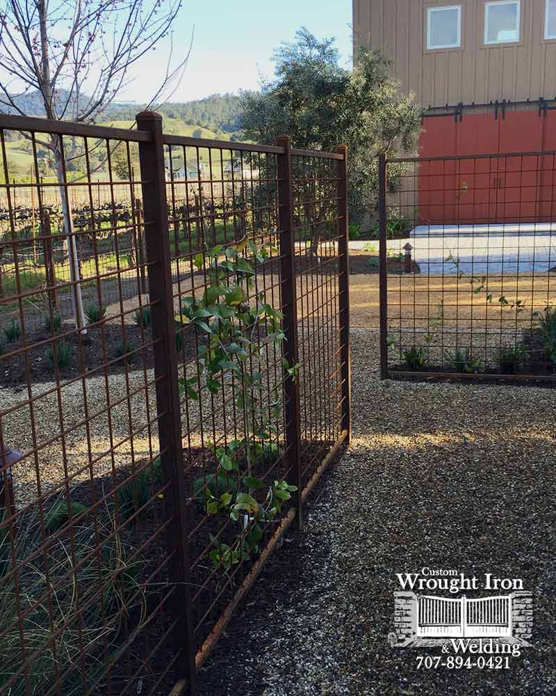 Sonoma County Trellis Fence